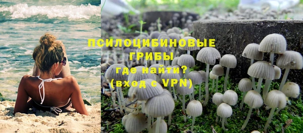 экстази Алексин