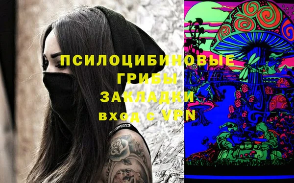 СК Абинск